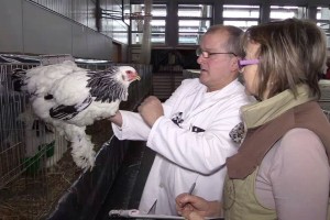 VIDEO: Na razstavi tokrat več kot 570 živali
