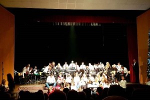 FOTO: Na tradicionalnem koncertu Pihalnega orkestra Občine Šentjernej