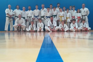 Uspešno leto za sevniški karate in kickboxing