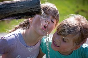 FOTO: Poleti je treba zaužiti vsaj dva litra vode dnevno