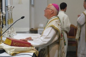 AVDIO&FOTO: Božična poslanica novomeškega škofa