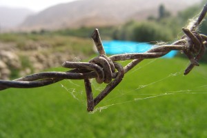GROZA V MARIBORU! Skoraj ostala BREZ GLAVE, nastavil je žico v VIŠINI VRATU! Prizor šokira (foto)
