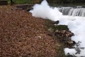 VIDEO: Onesnažen potok v Bršljinu
