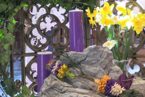 FOTO&VIDEO: Cvetna nedelja v novomeški stolnici