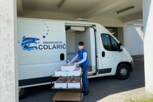 Ribogojstvo Colarič krškemu domu starejših podarilo 50 kg rib