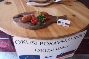 AVDIO: Krka ob enih - V Krškem končali enoletni podvig Okusi posavsko ribo