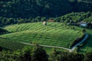 Občina Krško se pridružuje zeleni politiki slovenskega turizma
