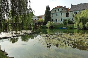 V Kostanjevici na Krki začasno ustavljene aktivnosti za urejanje protipoplavne zaščite