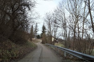 Obnova Ceste na ribnik v Brestanici v naslednjo fazo