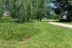 V Kočevju v projektu obnove parkov odpirajo prenovljeni park v Kajuhovem naselju