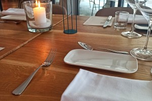 Krka ob enih: Na okrogli mizi o potencialih gostinstva na Dolenjskem