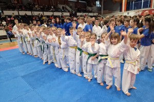 15 medalj na državnem prvenstvu v taekwondoju
