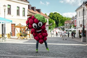 Uspešno zaključili Festival cvička