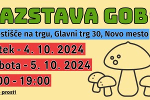 Na Glavnem trgu razstava gob