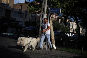 Iranski verski skrajneži ne marajo psov: prepovedujejo tudi pasje sprehode