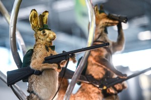 Safari po dolenjsko: srna in zajec v prtljažniku, puška v jarku
