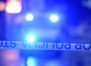 Tihotapec, zaradi katerega so na primorski avtocesti umrli trije Sirci, dobil osem let zapora