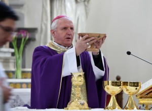 Nadškof Zore bo daroval mašo za domovino