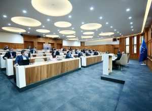 Na odboru DZ za obrambo se krešejo mnenja o potrebi po podelitvi izjemnih pooblastil vojski