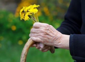 Terjajo pojasnila in odgovornost glede zdravljenja oskrbovancev v domovih za starejše