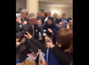 Ob sprejemu spornega zakona pretep v gruzijskem parlamentu (VIDEO)