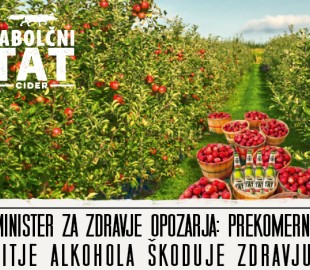 Cider: nepogrešljiva družba na osvežilni zabavi