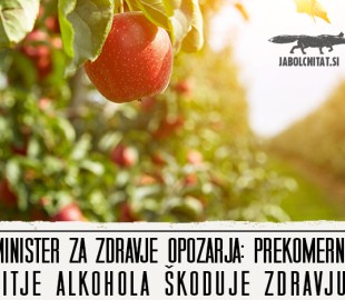 Čas je za zabavo z osvežilnim ciderjem