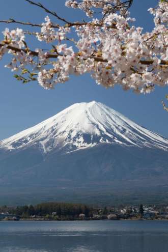 Zastrli bodo pogled na goro Fudži