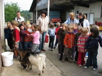 kmetija_kastelic00011.jpg