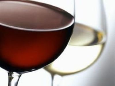 vino1.jpg