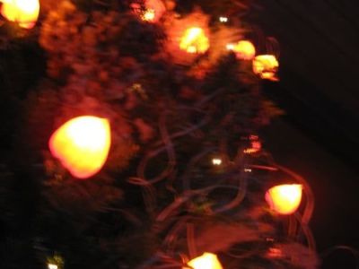 img_4542.jpg