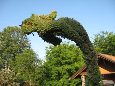 dino_001.jpg