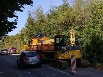 brezovica001.jpg