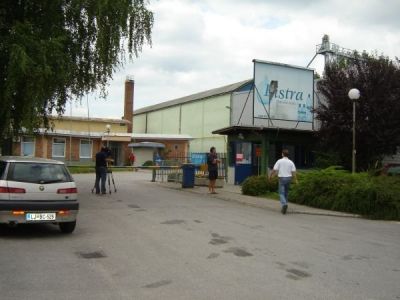 s_vino_brezice.jpg