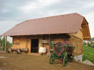 cvickov_hram_ak.jpg