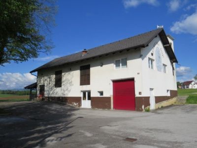podzemelj.jpg