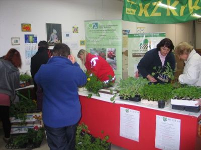 zelemenjava_2014.jpg