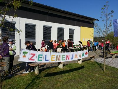 zelemenjava_01.jpg