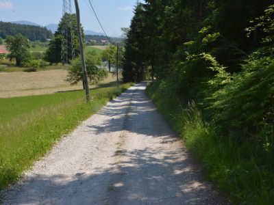 Šmartinsko jezero