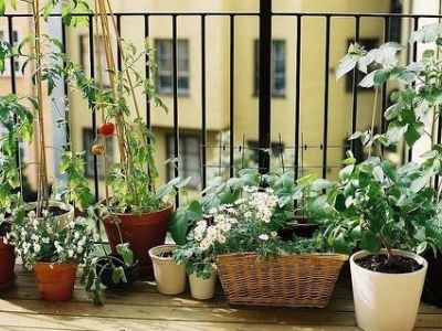 balkon.jpg