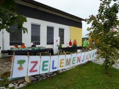 zelemenjava.jpg