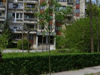 Trbovlje dan zemlje 2016.jpg