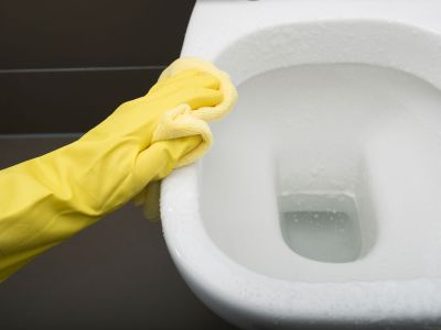 wc školjka.jpg
