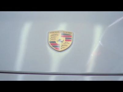 Macan prihaja novembra