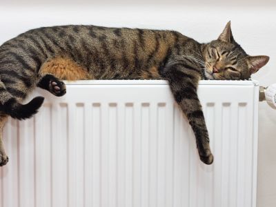 mačka na radiatorju.jpg