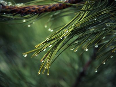 android-wallpaper-drops-of-water-hd-wallpaper-8633.jpg