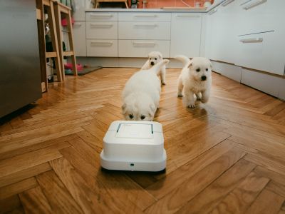iRobot Braava_foto_Pasja Hisa.jpg