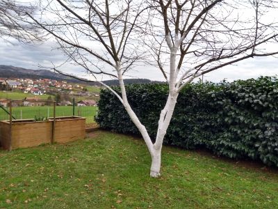 R&V+ZR okt 19 – sadni vrt FOTO 3.jpg