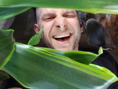 klemen bunderla monstera 2.jpg