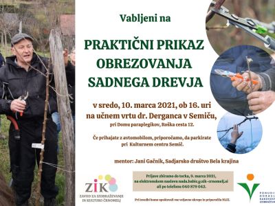 _zzzzprikaz.jpg